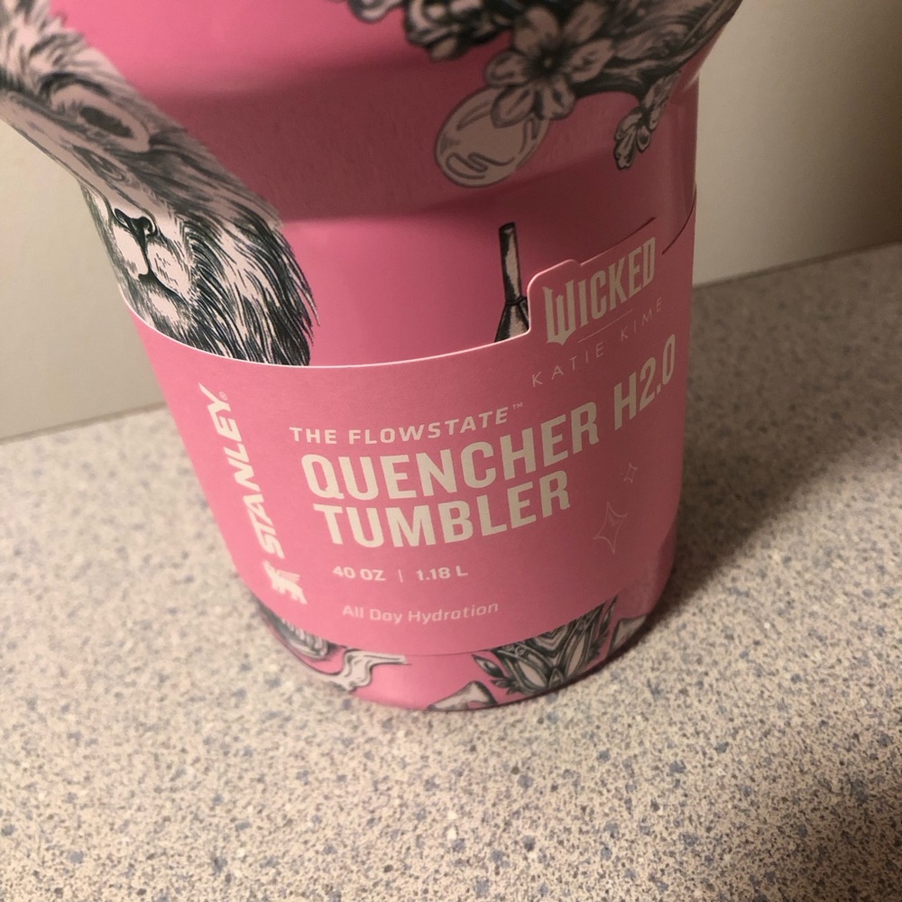 Target x Stanley Wicked For Good Quencher Tumbler 40 Oz Ozian Reprise IN HAND - Picture 2 of 8